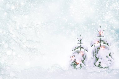 Karla kaplı ağaçlarla donmuş kış ormanı. Açık hava