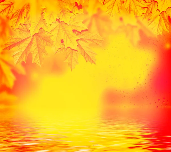 Paysage Automne Avec Des Feuilles Colorées Lumineuses Été Indien Feuillage — Photo