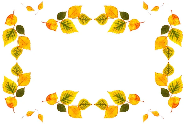 Beyaz arka planda parlak bir sonbahar yaprağı. Yapraklar. Sonbahar kavramı