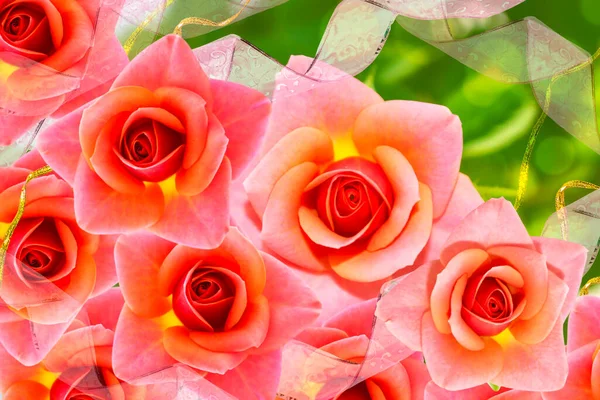 艳丽多彩的玫瑰 自然的植物背景 假日贺卡 — 图库照片
