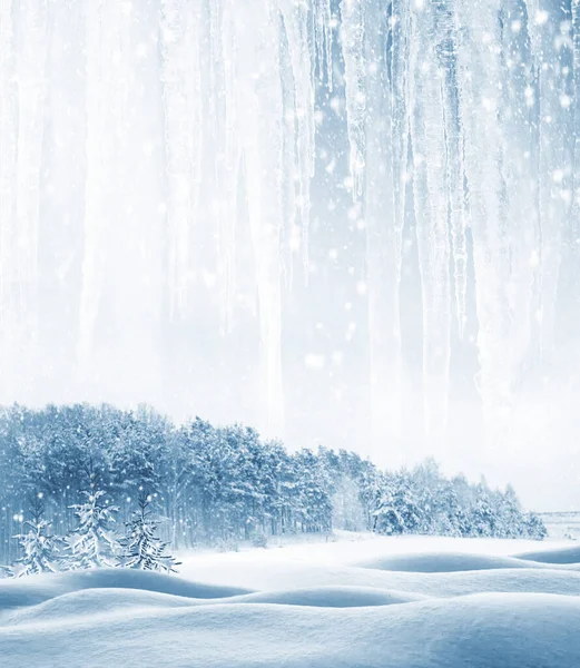 Zmrzlý Zimní Les Zasněženými Stromy Venkovní — Stock fotografie