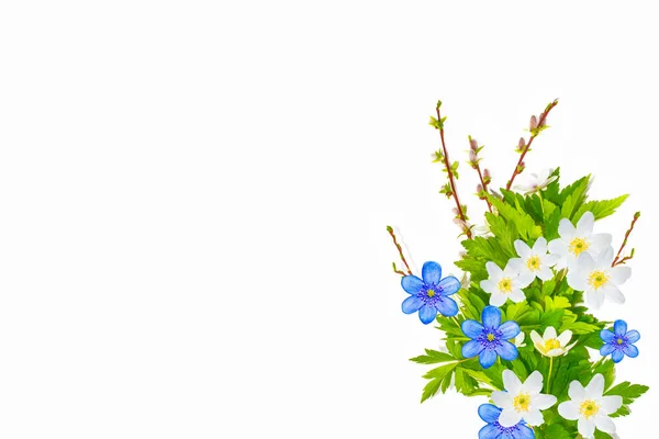 Lente Bloemen Sneeuwklokje Geïsoleerd Witte Achtergrond — Stockfoto