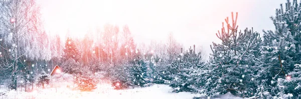 Dorf Winter Schneebedeckten Wald Urlaubsausweis — Stockfoto