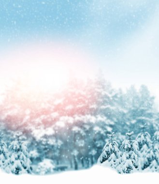 Karla kaplı ağaçlarla donmuş kış ormanı. Açık hava