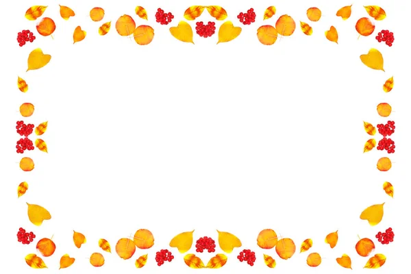 Světlý Podzimní List Bílém Pozadí Listoví Podzimní Koncept Bobule Rowan — Stock fotografie