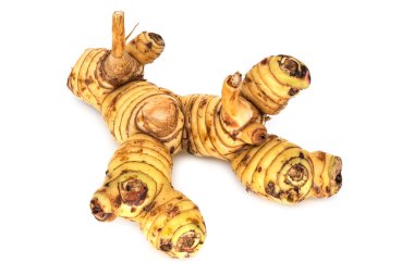 Kök Isolated ginger, kök baharat ve beyaz üzerine Tıp'ların yakın çekim