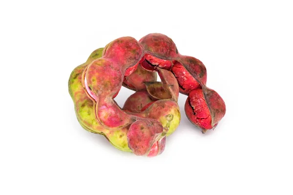 Manila demirhindi izole