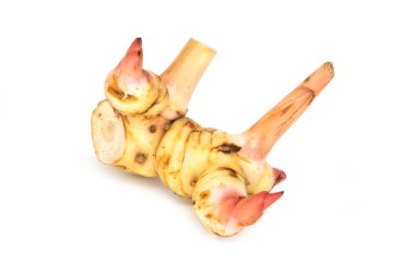 Beyaz arka plan üzerinde izole kök zencefil Isolated, kapat