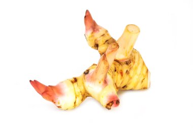 Beyaz arka plan üzerinde izole kök zencefil Isolated, kapat