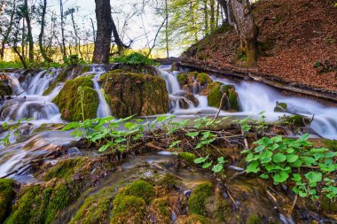 Plitvice Gölleri ile şelale, bulanık akan su ile güzel manzara