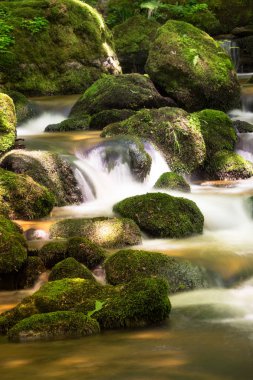 dağ dere şelale güzel manzara bulanık hareket ile
