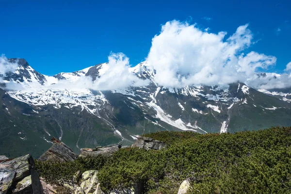 Alti Tauri Austria Con Montagne Innevate Pini Striscianti Primo Piano — Foto Stock