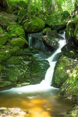 Güzel dağ dere yosun kaplı taşlar, manzara orman