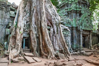Ta Phrom Khmer Angkor Wat, Kamboçya, tarihi mimarlık