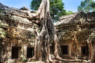 Ta Phrom Khmer Angkor Wat, Kamboçya, tarihi mimarlık
