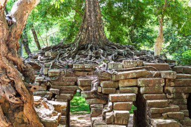 Ta Phrom Khmer Angkor Wat, Kamboçya, tarihi mimarlık