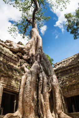 Ta Phrom Khmer Angkor Wat, Kamboçya, tarihi mimarlık