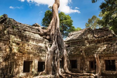 Ta Phrom Khmer Angkor Wat, Kamboçya, tarihi mimarlık
