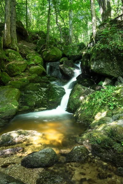 Güzel dağ dere yosun kaplı taşlar, manzara orman