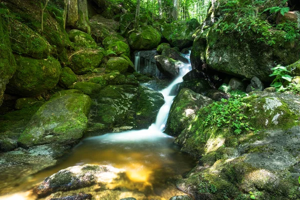 Hermoso Arroyo Montaña Con Piedras Cubiertas Musgo Paisaje Bosque —  Fotos de Stock