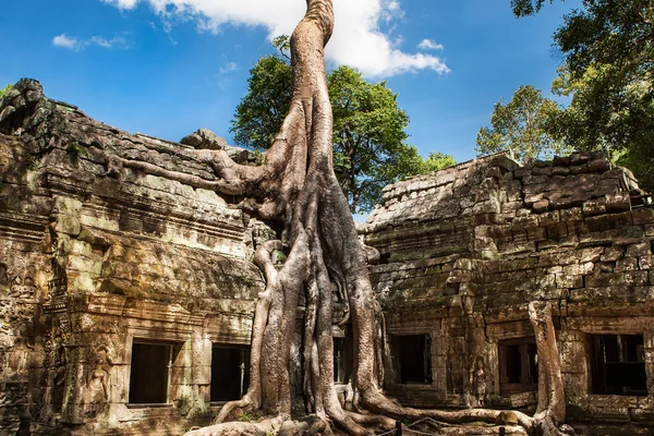 Ta Phrom Khmer Angkor Wat, Kamboçya, tarihi mimarlık