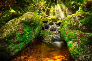 Orman, nehir küçük dağ güneş ışını ile peyzaj akışı