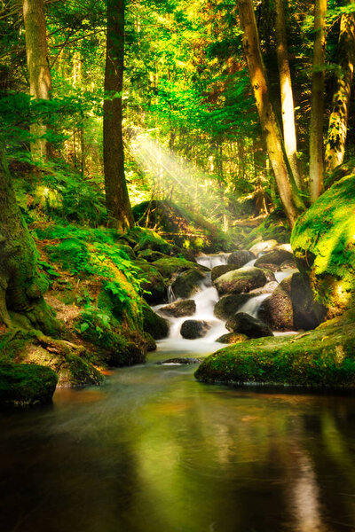 Stream through forest, landscape of small mountain river with sunbeam