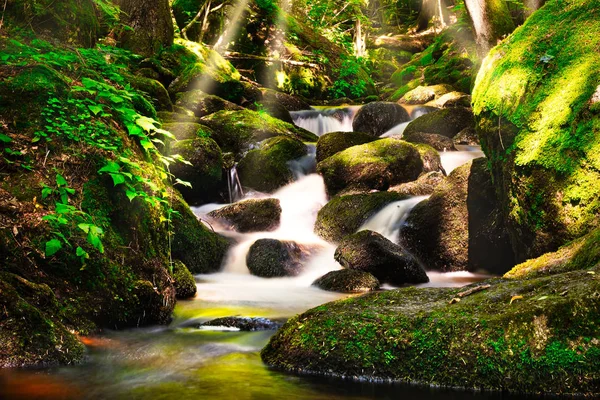 Corriente Través Del Bosque Paisaje Pequeño Río Montaña Con Rayo —  Fotos de Stock