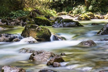 Temiz su, Mariazellerland, Avusturyalı dağlarda manzara ile dağ dere