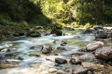 Temiz su, Mariazellerland, Avusturyalı dağlarda manzara ile dağ dere