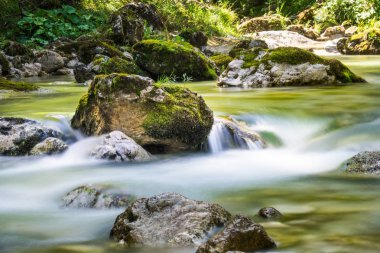 Temiz su, Mariazellerland, Avusturyalı dağlarda manzara ile dağ dere