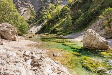 Temiz su, Mariazellerland, Avusturyalı dağlarda manzara ile dağ dere