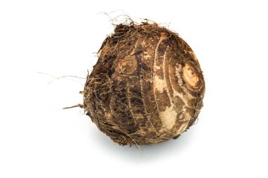 Taro, bir kök sebze beyaz arka plan üzerinde Kapat