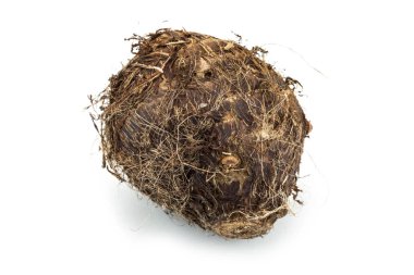 Taro, bir kök sebze beyaz arka plan üzerinde Kapat