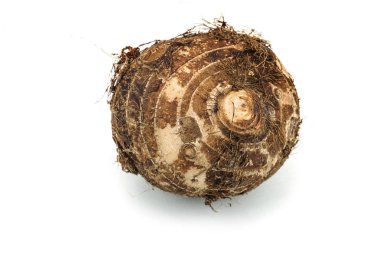 Taro, bir kök sebze beyaz arka plan üzerinde Kapat