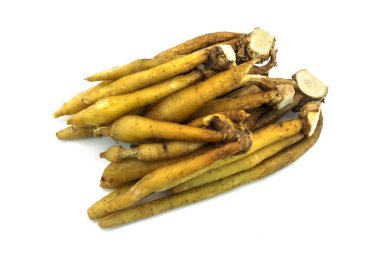 Kaempfer, fingerroot beyaz zemin üzerine, yakın
