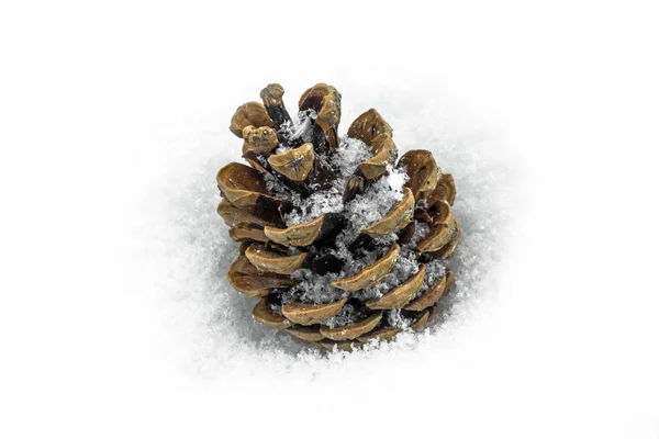 松の雪のコーン 冬時間でのクリスマス装飾 — ストック写真