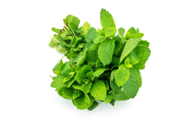 Menta Fresca Sobre Fondo Blanco Hierba Verde Aislada — Foto de Stock