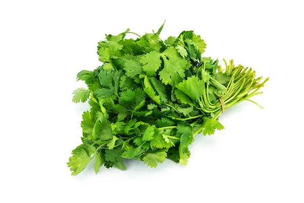 Parsley Isolated White Close Green Ingredient — Stock Photo, Image
