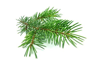 Köknar dal üzerinde beyaz, yakın çekim Noel dekorasyon
