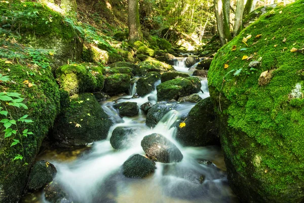 Mountain River Forest Flowing Water Moss Covered Stones — Stock Photo, Image
