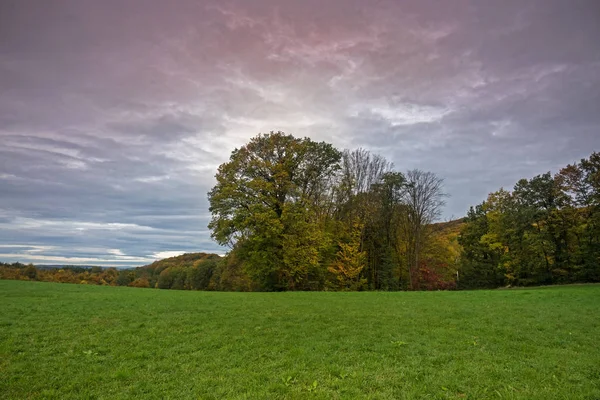 Paysage Avec Couleurs Automne Prairie Avec Zone Arbre — Photo