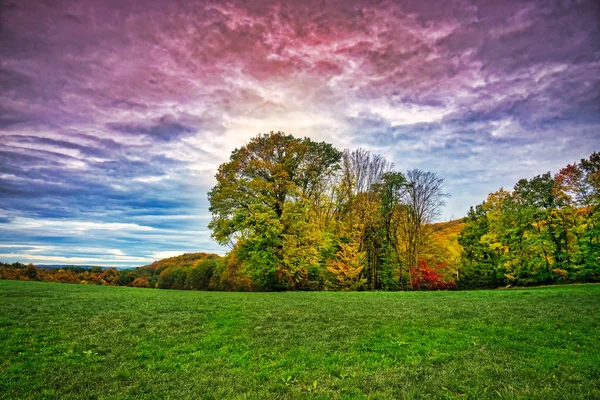 Färgglada Hösten Landskap Skogen Med Vackra Lövträd — Stockfoto