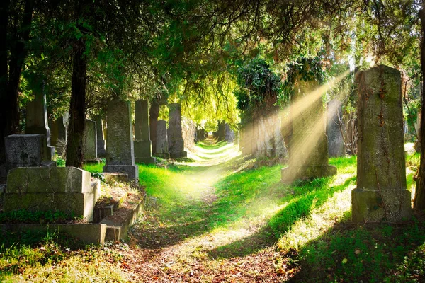 Cemitério Judaico Com Raios Sol Paisagem Com Sepulturas Outono — Fotografia de Stock