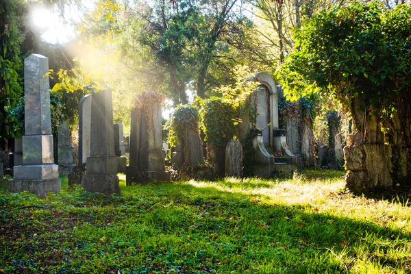 Cemitério Com Raios Sol Outono Sepulturas Judaicas Lugar Idílico — Fotografia de Stock