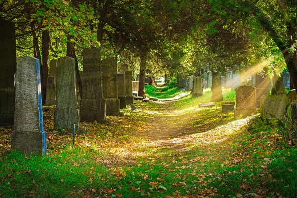 秋天的墓地与阳光 在田园诗般的地方的犹太坟墓 — 图库照片