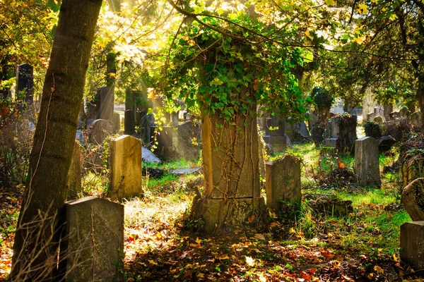 Cemitério Com Raios Sol Outono Sepulturas Judaicas Lugar Idílico — Fotografia de Stock