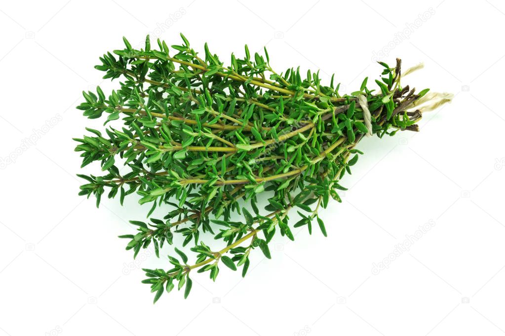 Fresh Thyme on white background