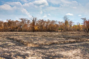 Eğik çizgi ve yanık tarım