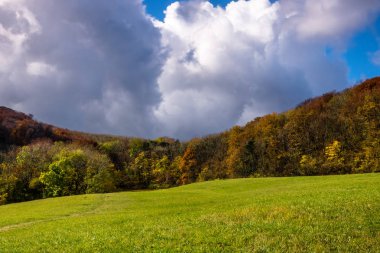 Peyzaj Sonbahar, orman ile dağ silsilesi içinde renkli yaprak döken ağaçlar